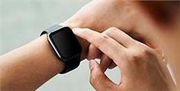 EPT电池品质高，镍氢和锂电都表现不俗